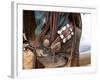 Cowgirls Boot & Saddle-Terry Eggers-Framed Photographic Print