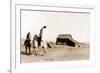 Cowgirls on Range-null-Framed Premium Giclee Print