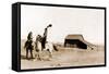 Cowgirls on Range-null-Framed Stretched Canvas