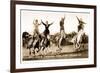 Cowgirls Standing on Horses-null-Framed Art Print