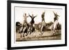 Cowgirls Standing on Horses-null-Framed Art Print