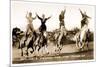 Cowgirls Standing on Horses-null-Mounted Art Print