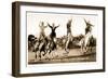 Cowgirls Standing on Horses-null-Framed Premium Giclee Print