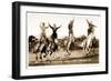 Cowgirls Standing on Horses-null-Framed Premium Giclee Print