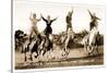 Cowgirls Standing on Horses-null-Stretched Canvas