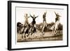 Cowgirls Standing on Horses-null-Framed Art Print