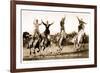 Cowgirls Standing on Horses-null-Framed Premium Giclee Print