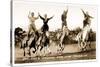 Cowgirls Standing on Horses-null-Stretched Canvas