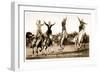 Cowgirls Standing on Horses-null-Framed Art Print