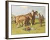 Cowhill Fair, C.1900-1919-John Atkinson-Framed Giclee Print