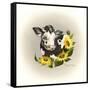 Cowl Ender Girl-Peggy Harris-Framed Stretched Canvas