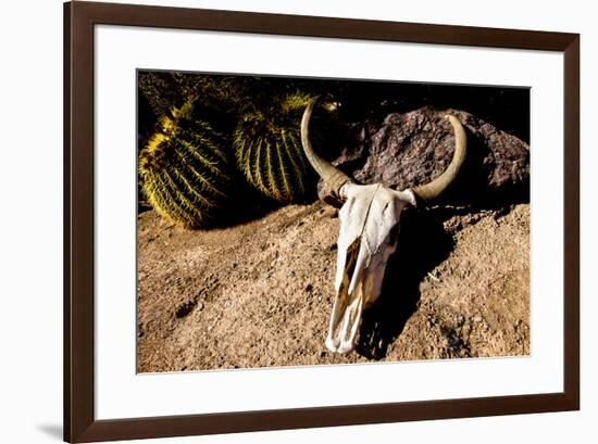 Cowl skull out in the desert, Tucson, Arizona, USA.-Julien McRoberts-Framed Premium Photographic Print