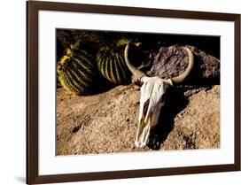 Cowl skull out in the desert, Tucson, Arizona, USA.-Julien McRoberts-Framed Premium Photographic Print