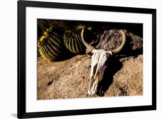 Cowl skull out in the desert, Tucson, Arizona, USA.-Julien McRoberts-Framed Premium Photographic Print