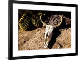Cowl skull out in the desert, Tucson, Arizona, USA.-Julien McRoberts-Framed Premium Photographic Print