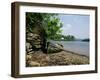 Cowlands and Combe Creeks off River Fal, Near Truro, Cornwall, England, United Kingdom-Richard Ashworth-Framed Photographic Print