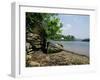 Cowlands and Combe Creeks off River Fal, Near Truro, Cornwall, England, United Kingdom-Richard Ashworth-Framed Photographic Print