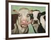 Cowlicous-Leah Saulnier-Framed Giclee Print