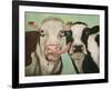 Cowlicous-Leah Saulnier-Framed Giclee Print