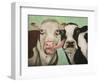 Cowlicous-Leah Saulnier-Framed Giclee Print