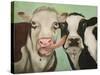 Cowlicous-Leah Saulnier-Stretched Canvas