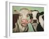 Cowlicous-Leah Saulnier-Framed Giclee Print