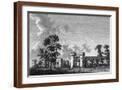 Brown Frame