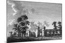 Wood Mount