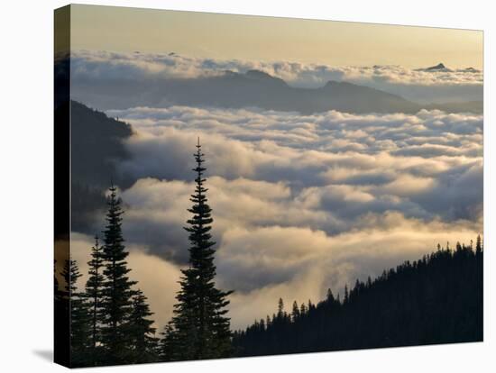Cowlitz River Valley, Tatoosh Wilderness, Washington Cascades, USA-Janis Miglavs-Stretched Canvas