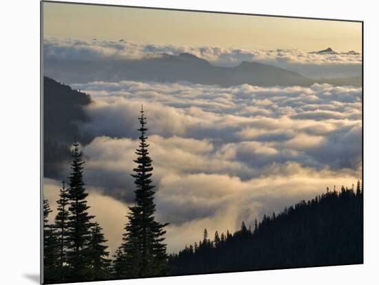 Cowlitz River Valley, Tatoosh Wilderness, Washington Cascades, USA-Janis Miglavs-Mounted Photographic Print
