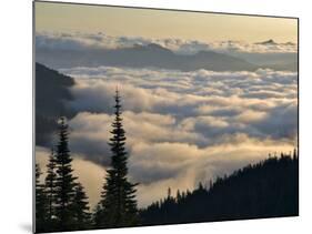 Cowlitz River Valley, Tatoosh Wilderness, Washington Cascades, USA-Janis Miglavs-Mounted Photographic Print