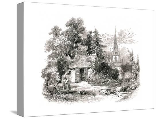 Stretched Canvas Print, , large