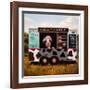 Cowpies-Lucia Heffernan-Framed Art Print