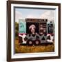 Cowpies-Lucia Heffernan-Framed Premium Giclee Print