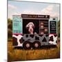 Cowpies-Lucia Heffernan-Mounted Premium Giclee Print