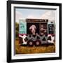 Cowpies-Lucia Heffernan-Framed Art Print