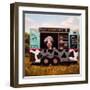 Cowpies-Lucia Heffernan-Framed Art Print