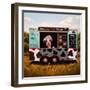 Cowpies-Lucia Heffernan-Framed Art Print