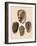 Cowry Helmets-G.b. Sowerby-Framed Giclee Print