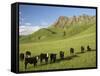 Cows and Farmland Below Te Mata Peak, Hawkes Bay, North Island, New Zealand-David Wall-Framed Stretched Canvas