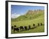 Cows and Farmland Below Te Mata Peak, Hawkes Bay, North Island, New Zealand-David Wall-Framed Photographic Print