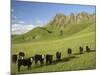 Cows and Farmland Below Te Mata Peak, Hawkes Bay, North Island, New Zealand-David Wall-Mounted Photographic Print