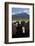 Cows and Mt Somers, Mid Canterbury, South Island, New Zealand-David Wall-Framed Photographic Print