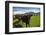 Cows and Mt Somers, Mid Canterbury, South Island, New Zealand-David Wall-Framed Photographic Print