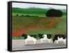 Cows and Poppies-Maggie Rowe-Framed Stretched Canvas