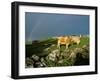 Cows and Rock Wall, Ireland-Marilyn Parver-Framed Photographic Print