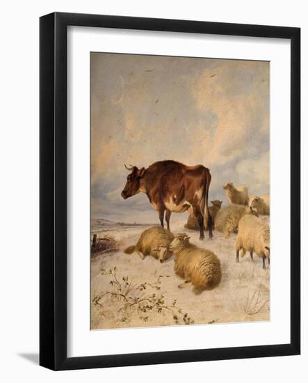 Cows and Sheep in Snowscape, 1864-Thomas Sidney Cooper-Framed Giclee Print