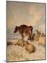 Cows and Sheep in Snowscape, 1864-Thomas Sidney Cooper-Mounted Giclee Print