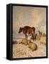 Cows and Sheep in Snowscape, 1864-Thomas Sidney Cooper-Framed Stretched Canvas