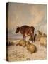 Cows and Sheep in Snowscape, 1864-Thomas Sidney Cooper-Stretched Canvas